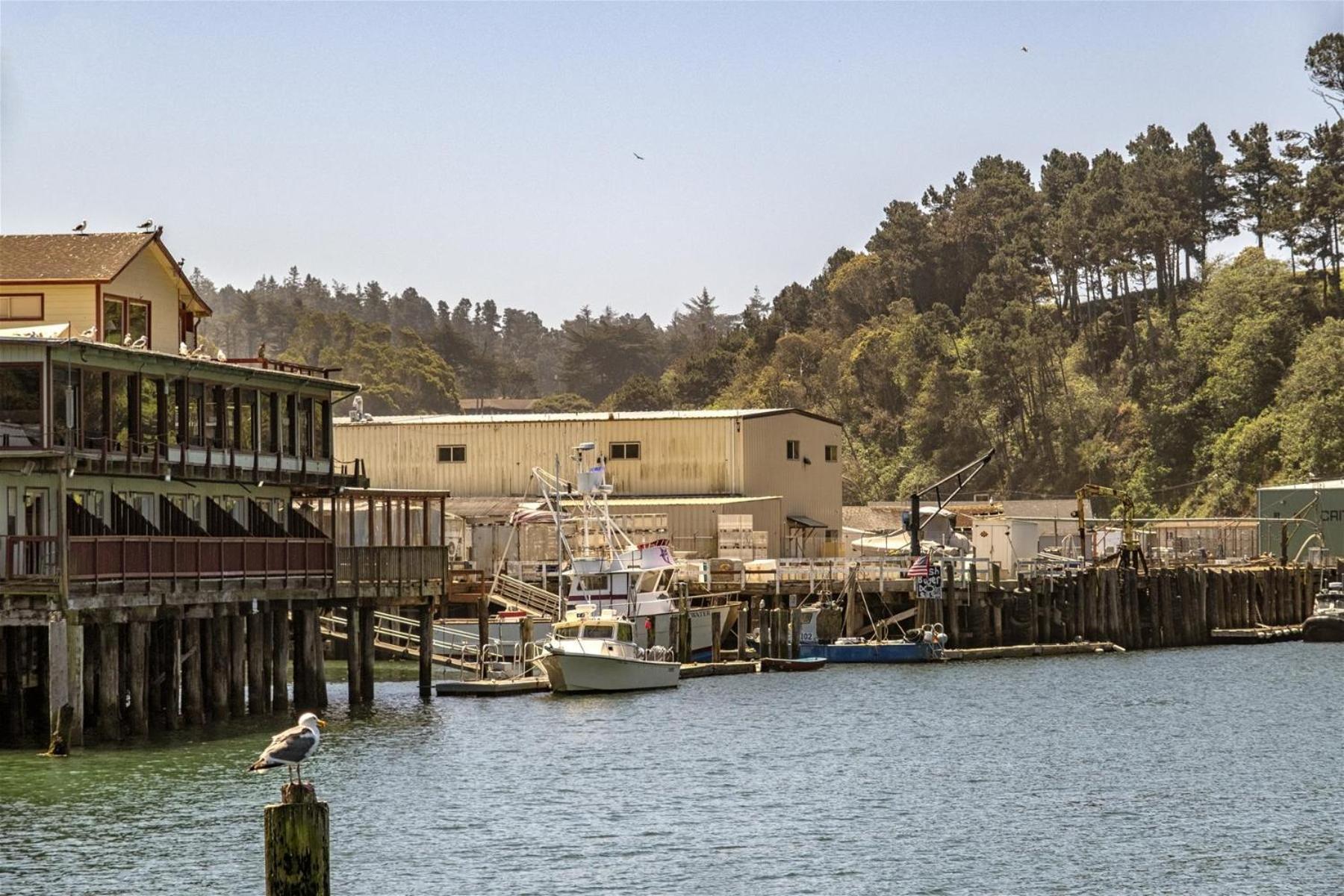 Driftwood Villa Fort Bragg Ngoại thất bức ảnh